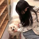 传奇刃魔官方手游下载